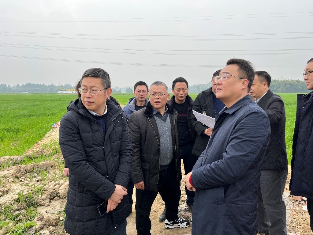 省社、省供投集團(tuán)領(lǐng)導(dǎo)調(diào)研青白江區(qū)四川現(xiàn)代供銷(xiāo)種業(yè)園區(qū)