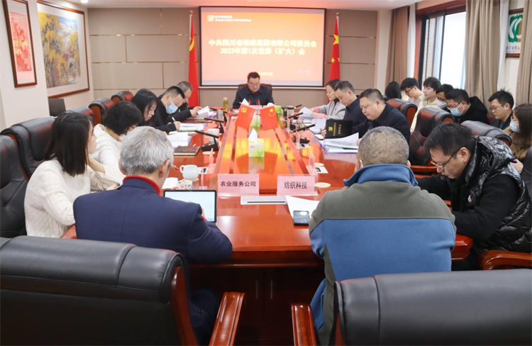 集團(tuán)公司召開2023年第1次黨委（擴大）會議
