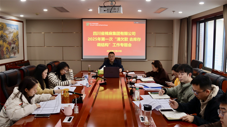 集團公司召開2025年第一次“清欠款、去庫存、調(diào)結(jié)構”工作專題會